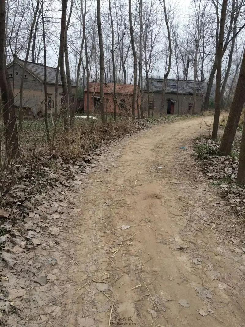 梦见老屋是什么意思