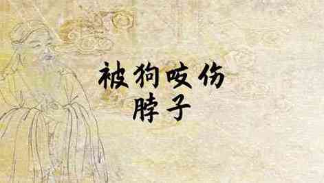 梦见被狗咬脖子