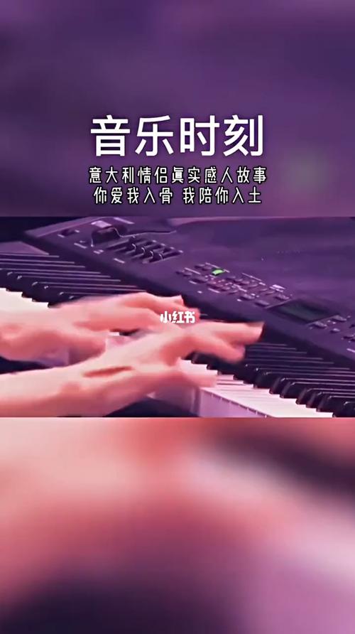 属羊最偏爱的音乐类型?