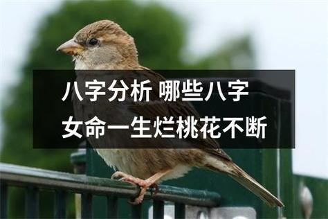 八字算命:桃花最烂的五种女命