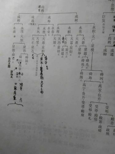 麻姓的来源
