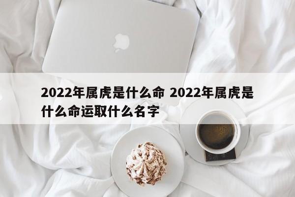 2022年的虎是什么命