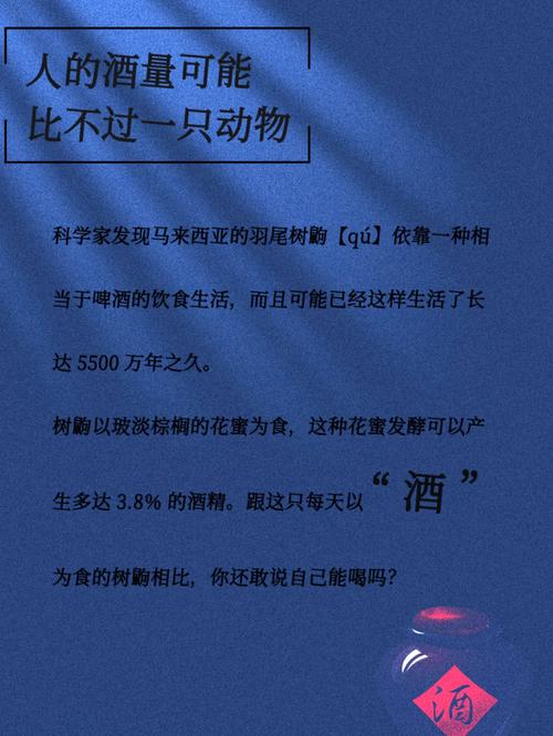 喝酒一定要有理由的话
