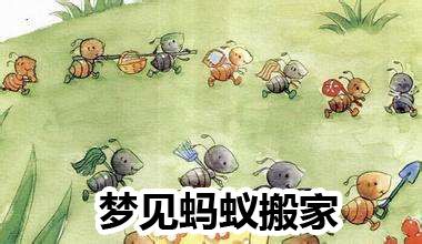 梦见蚂蚁搬家周公解梦，梦见蚂蚁搬家是什么意思？