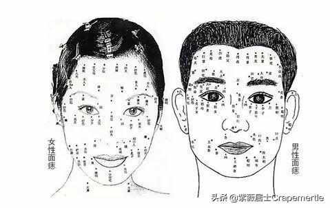十字面相学(二)---甲字脸形
