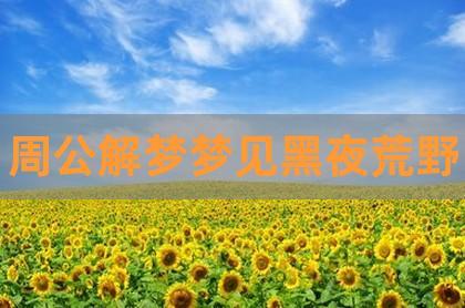 梦见夜晚、黑夜 周公解梦之梦到夜晚、黑夜