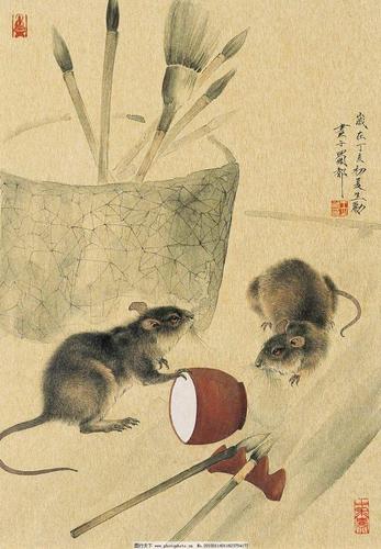 深山老人掐指一算属鼠人的后半生,将有“变故”