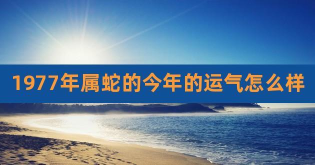 2017年七月份属蛇哪方面能够运气爆棚