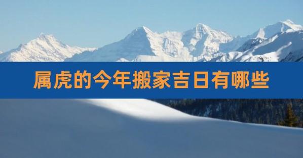 生肖虎2021年搬家好不好