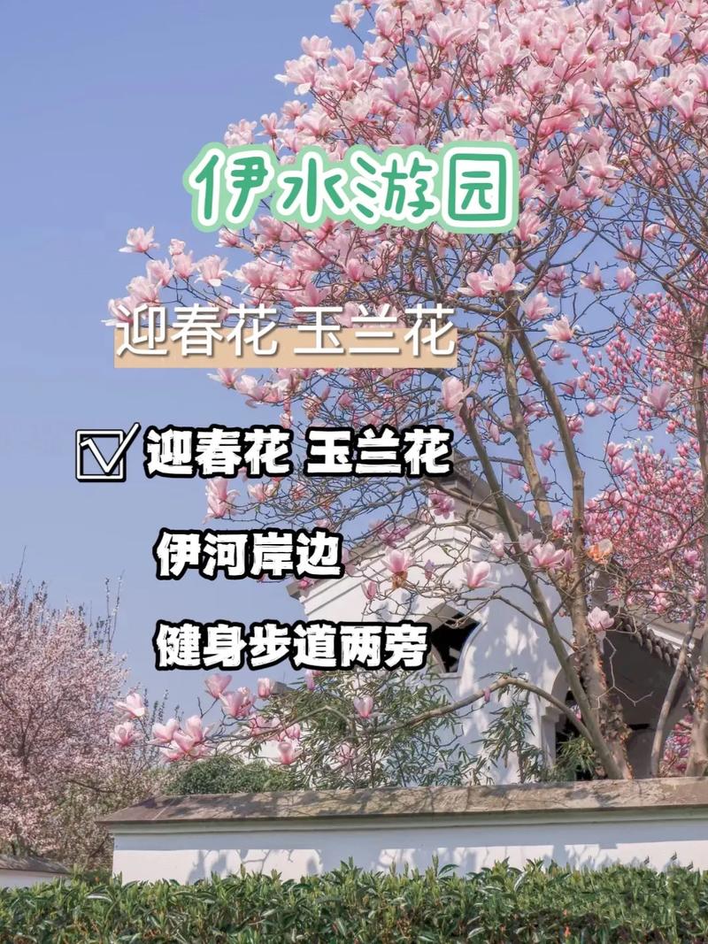 狮子座:长安打马,洛阳看花;京城夺魁,畅饮酒醉