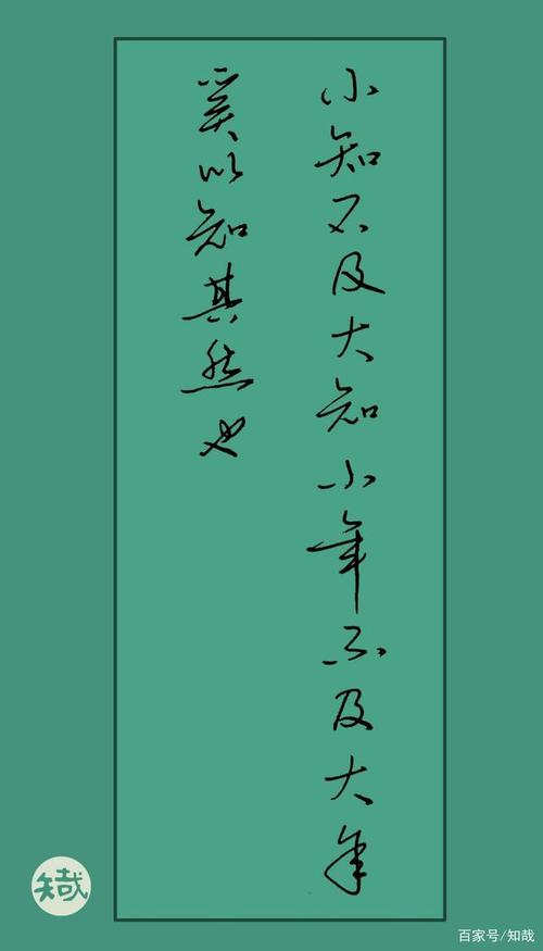 小年不及大年 奚以知其然也 是什么意思
