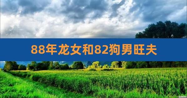88年龙女和82年狗男的婚姻