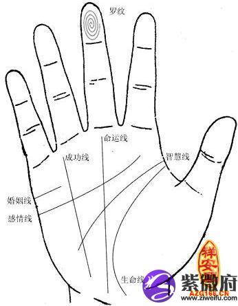 手相手纹是哪条线,如何看事业线