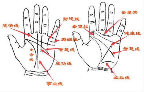 手相图解看智商高低真的准