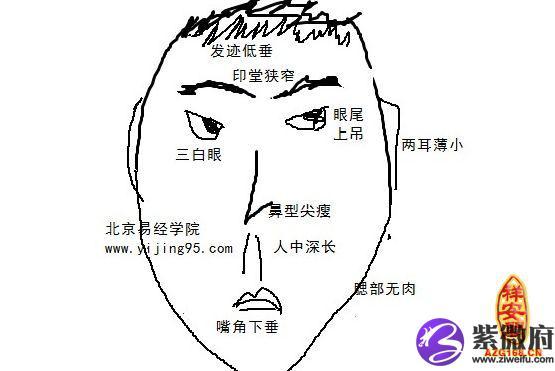 小人面相头眉毛下巴特征