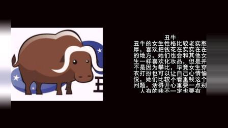 会模仿别人总是会默默攀比的五大生肖