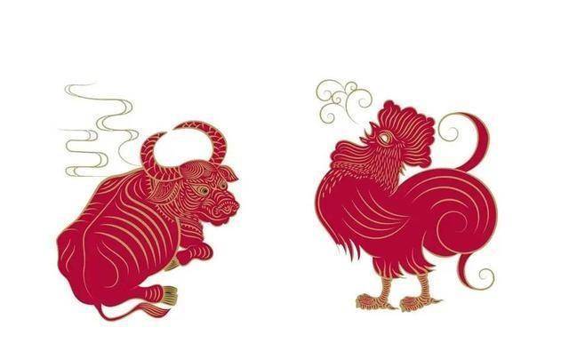 看上去老成内心就是小孩的生肖