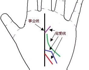 宠爱线怎么看 宠爱线连接生命线