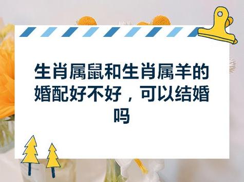 属蛇妈妈属羊爸爸生猪宝宝好吗