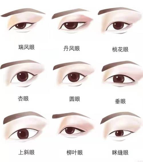 卧蚕眼和丹凤眼有什么区别
