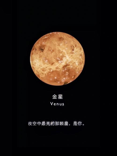 金火合于摩羯星座