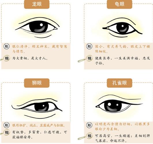 眼睛风水学眼睛的秘密