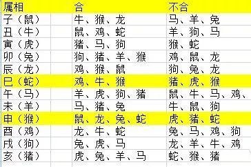 结婚新人生肖相冲了怎么办
