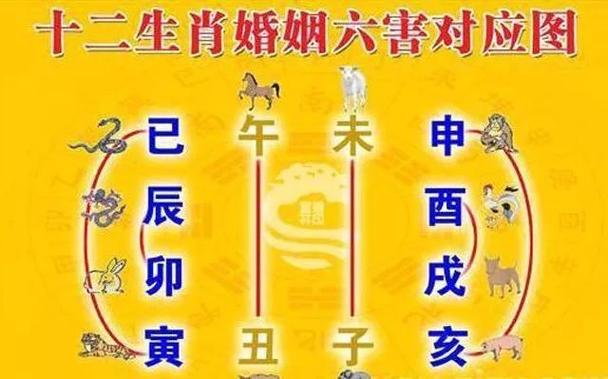 结婚忌属相是对谁不好如何化解