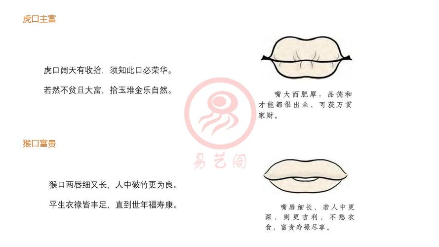如何从口型看人的一生富贵贫贱