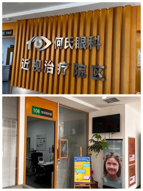 何氏女孩起名洋气一点-测名字免费:何婧蕾