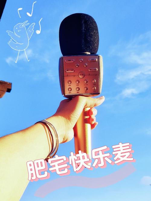 梦见卡拉OK周公解梦，梦见卡拉OK是什么意思？