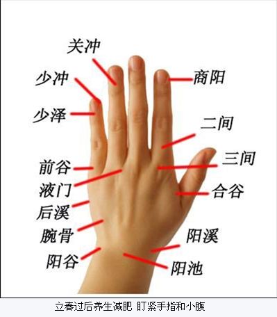 识人术:手相手指教你识人