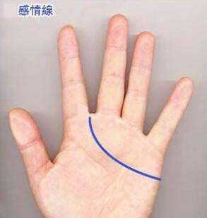 感情线在食指下方的男人是不是很疼老婆