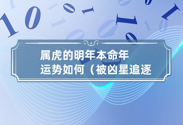 属虎的明年本命年运势如何