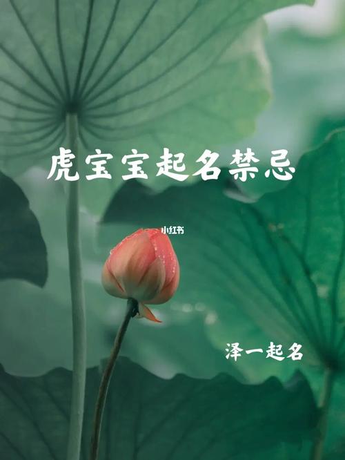 属虎起名有哪些禁忌