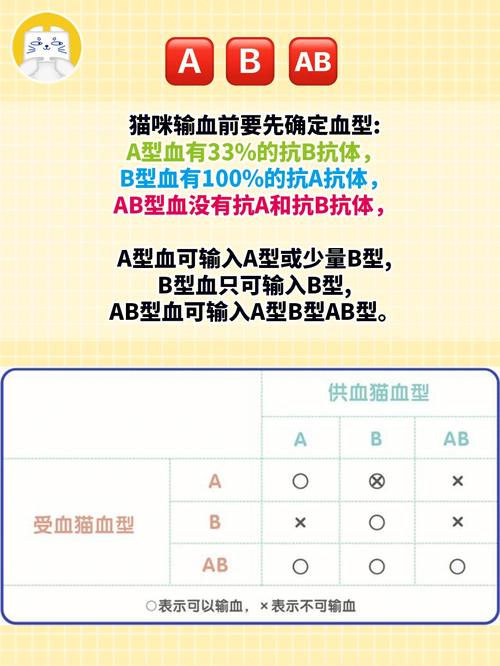 哪两种血型是比较少见的血型
