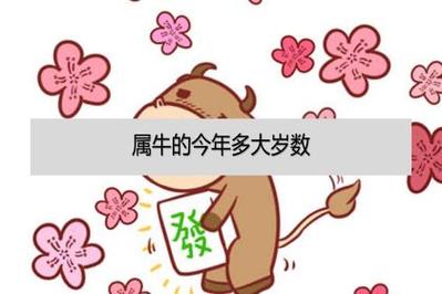 属牛2021年是多大岁数