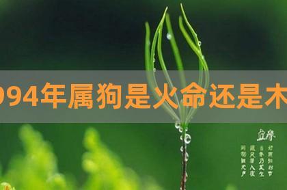 1994年狗山头火命还能补火吗,94年狗山头火命五行