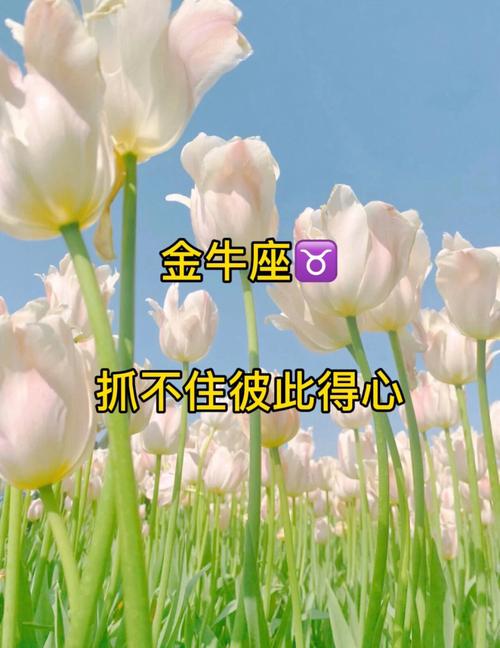 金牛座心死了的表现