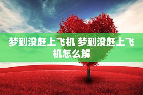 梦见没有赶上飞机