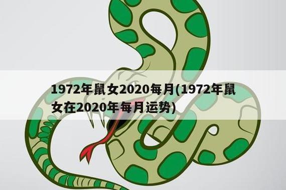 1972年属鼠人一生运气