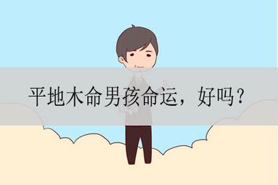 平地木命人会是三奇贵人吗