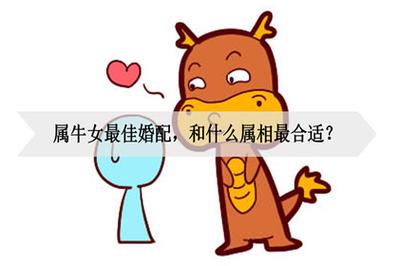 属牛女和什么属相最配,属牛女和什么属相最配