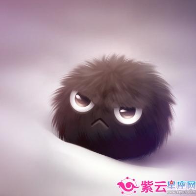 泓翔2017年十二生肖感情运势