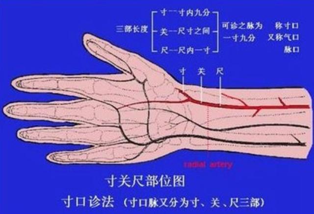 把脉算卦根据什么原理呢