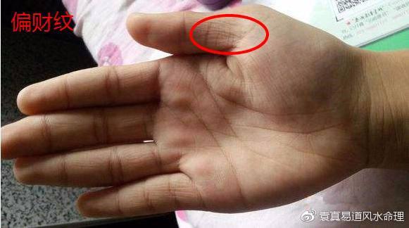 大拇指4节纹路看命运