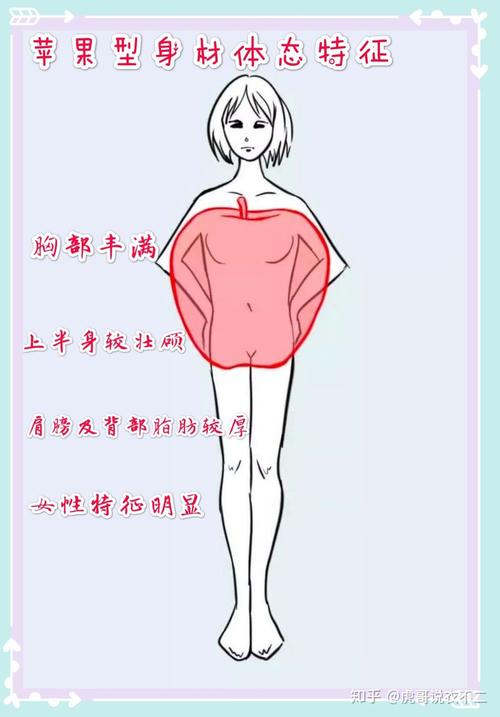 体态丰满和纤细的体相解析