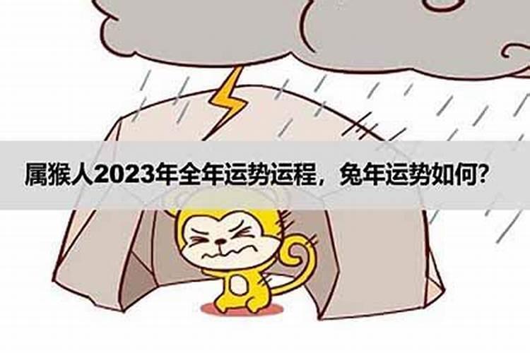 2023年属猴的高考顺利吗