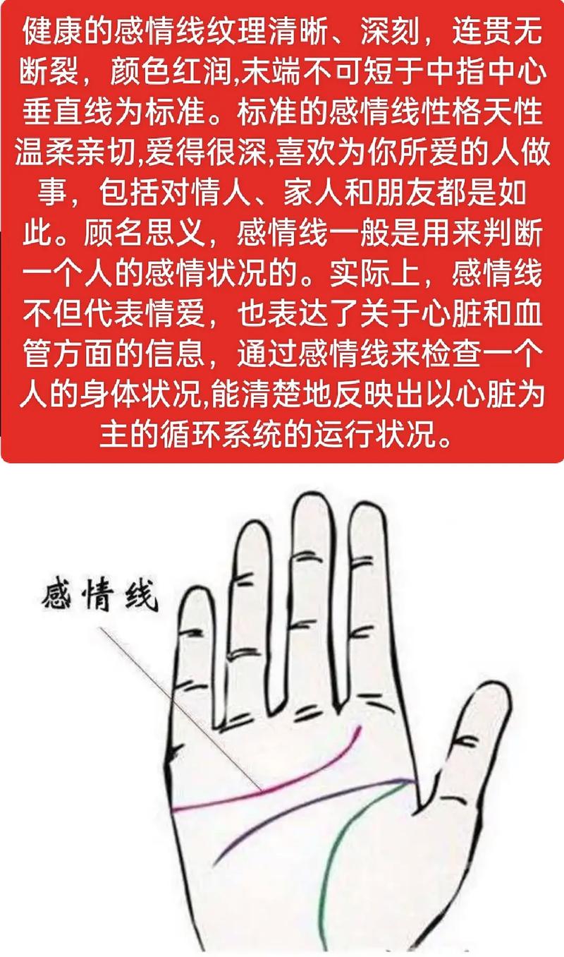 如何看女人手相感情线