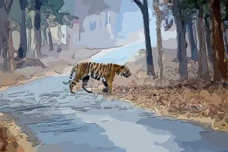 梦见老虎挡路是什么意思?